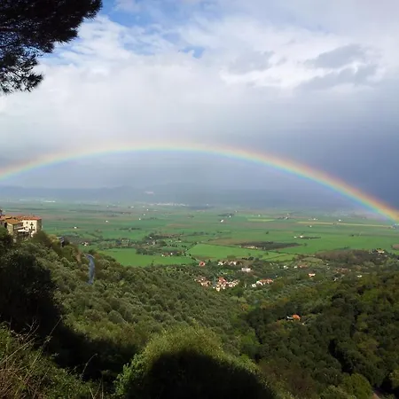 Mossa Dei Barbari Buriano (Grosseto)